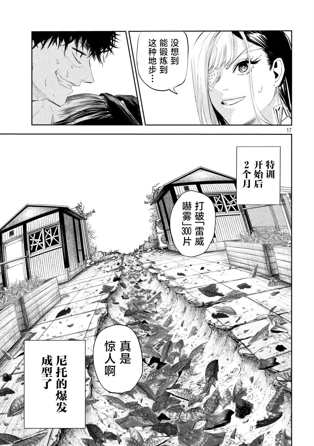第17页